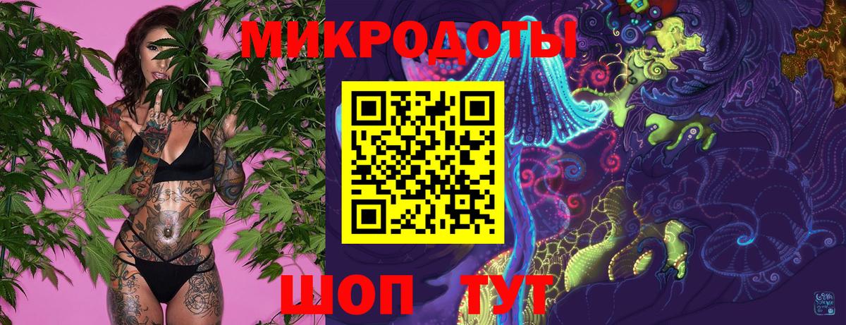 Псилоцибиновые грибы Psilocybe Орехово-Зуево